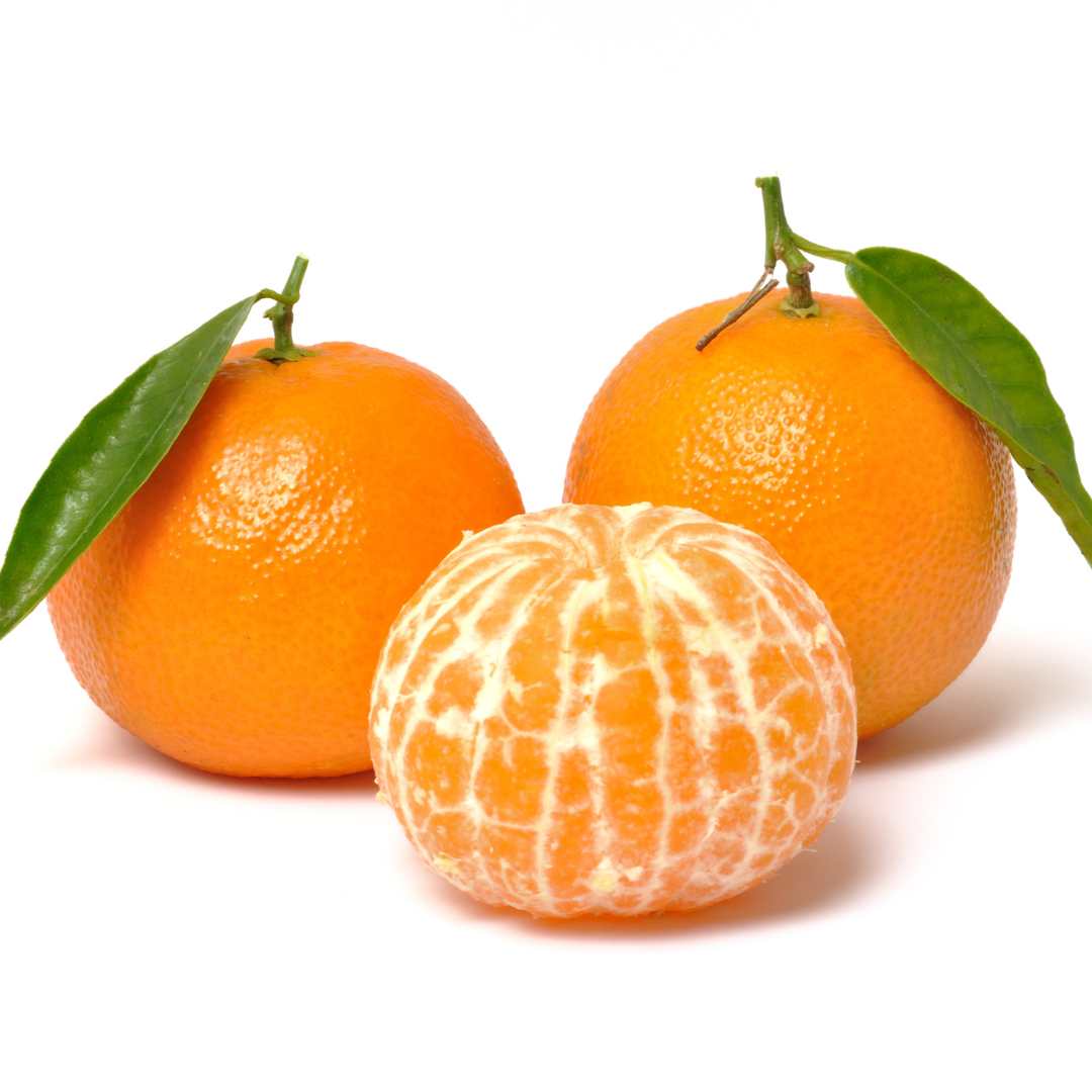 Clementine Caffin